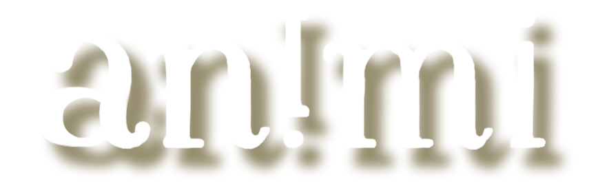 AN!MI film Logo